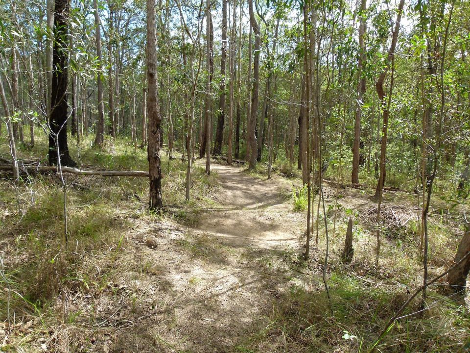 P1140004.jpg
